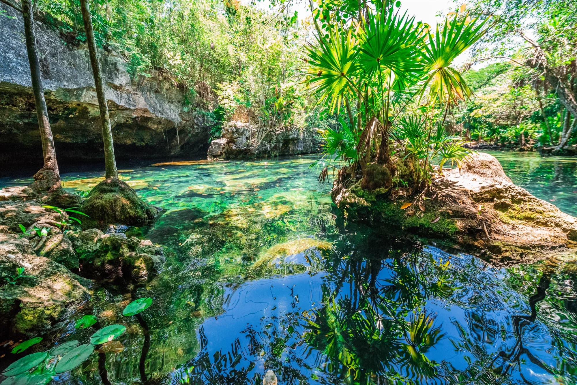 Riviera Maya