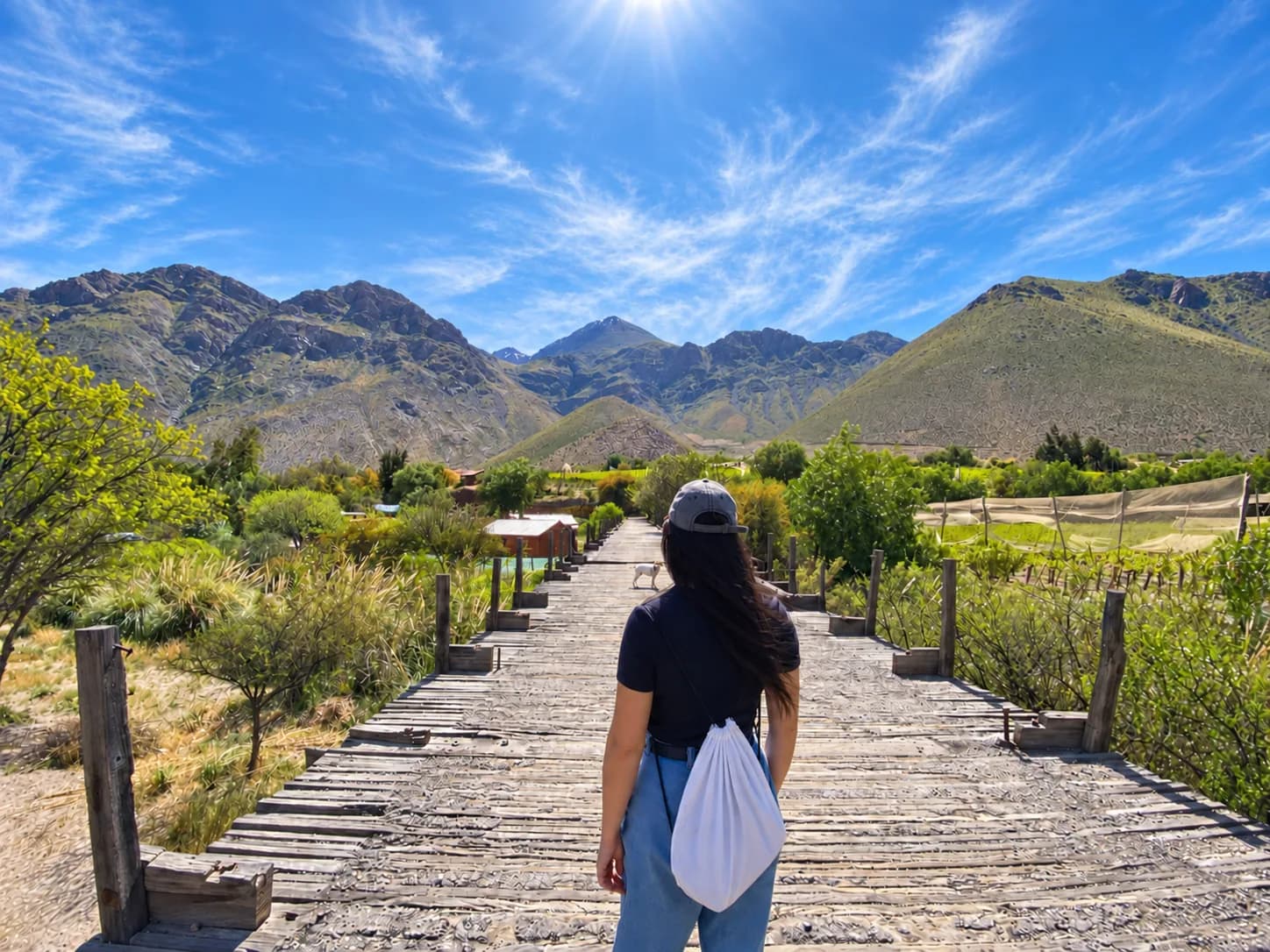 Valle del Elqui — 1