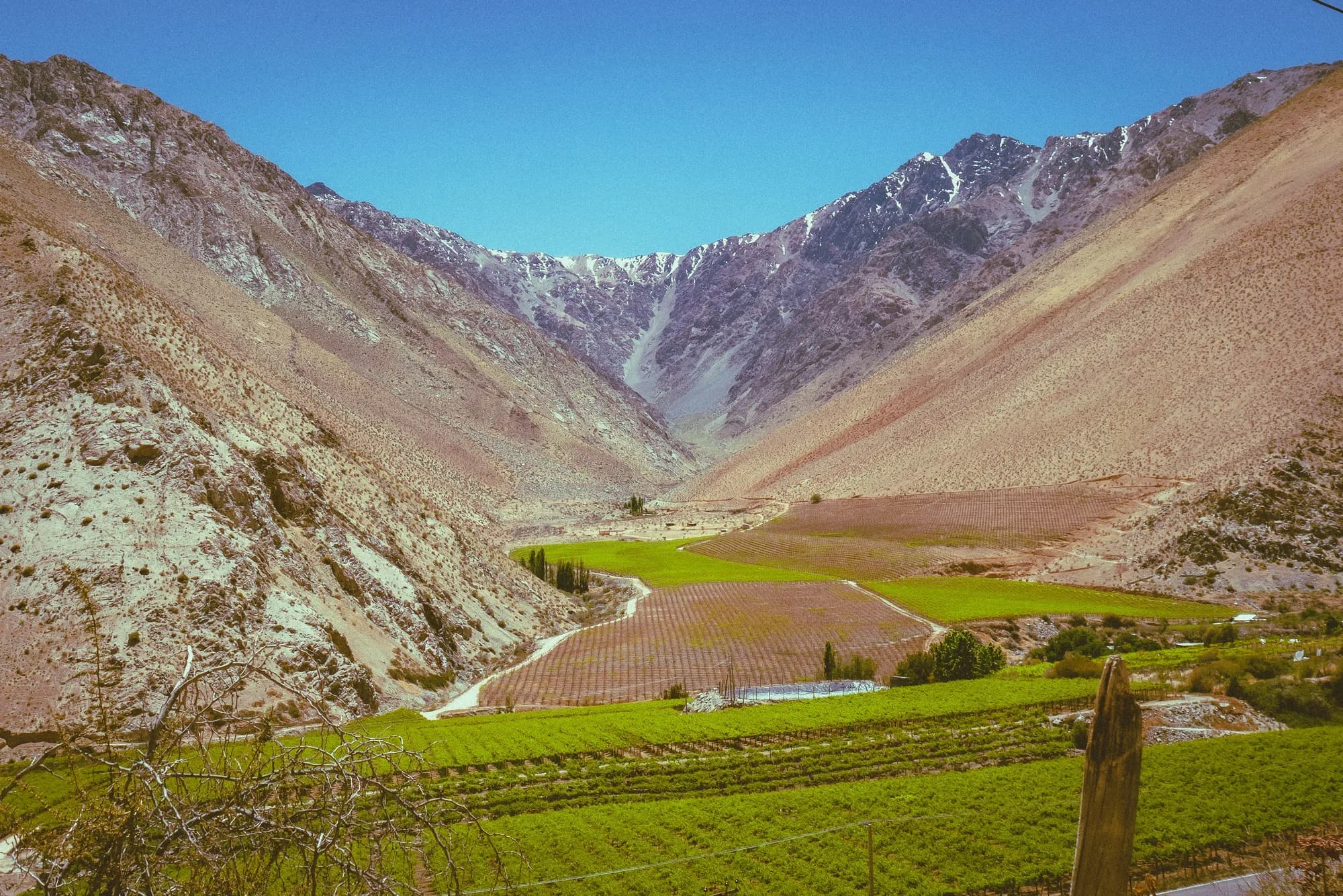 Valle del Elqui