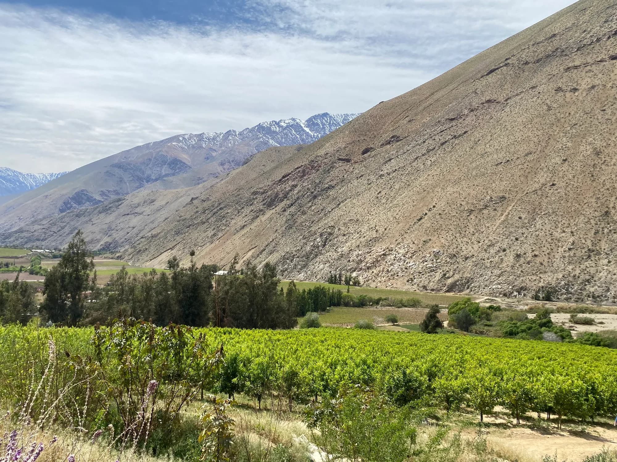 Valle del Elqui — 2